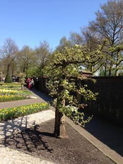 Название: 4.jpg
Просмотров: 929
Размер: 20.1 Кб