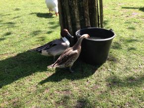 Название: 4.jpg
Просмотров: 852
Размер: 19.9 Кб