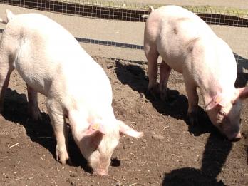 Название: 6).jpg
Просмотров: 774
Размер: 20.0 Кб