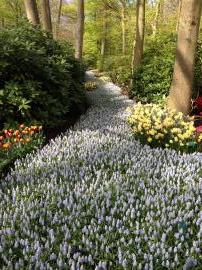 Название: 8).jpg
Просмотров: 943
Размер: 20.4 Кб