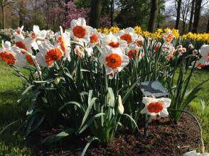 Название: 4).jpg
Просмотров: 923
Размер: 20.8 Кб