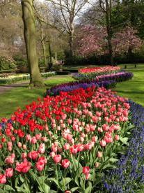 Название: 6).jpg
Просмотров: 932
Размер: 20.4 Кб