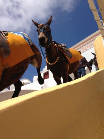 Название: IMG_2255.jpg
Просмотров: 966
Размер: 18.9 Кб