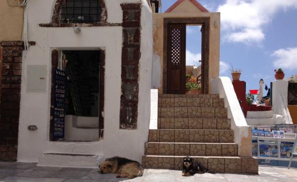 Название: IMG_2245.jpg
Просмотров: 968
Размер: 33.1 Кб