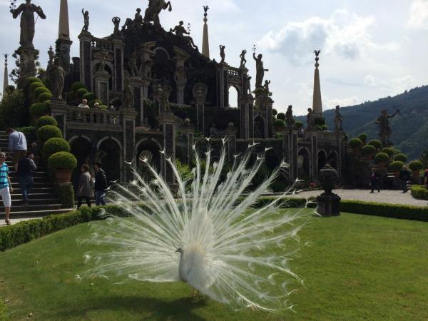 Название: 2PbZihIVRPc.jpg
Просмотров: 1052
Размер: 46.3 Кб