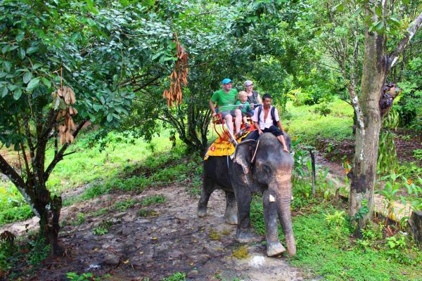 Название: image.jpg
Просмотров: 953
Размер: 82.9 Кб