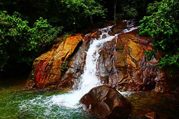 Название: image.jpg
Просмотров: 965
Размер: 69.1 Кб