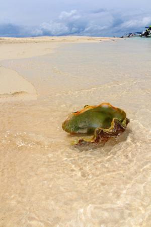 Название: image.jpg
Просмотров: 903
Размер: 17.0 Кб