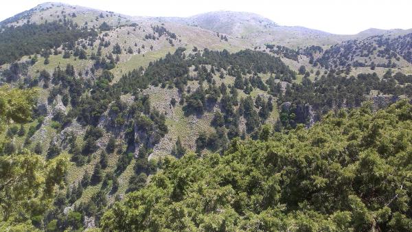 Название: IMAG0704.jpg
Просмотров: 990
Размер: 60.1 Кб