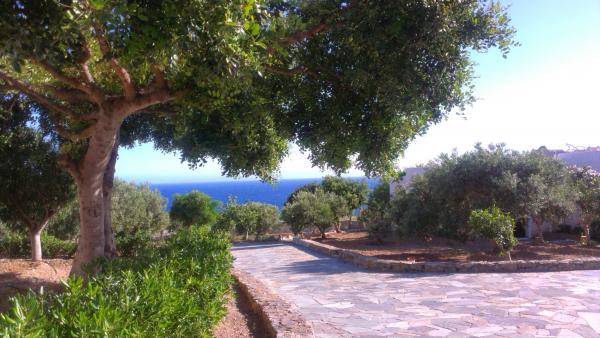 Название: IMAG0768.jpg
Просмотров: 932
Размер: 47.3 Кб