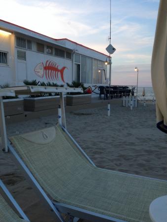 Название: IMG_5005.jpg
Просмотров: 955
Размер: 20.7 Кб