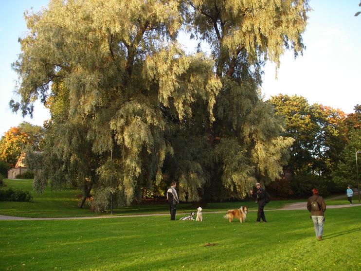 Название: ФИНЛЯНДИЯ Тампере 018.jpg
Просмотров: 1082
Размер: 97.9 Кб