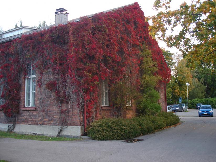 Название: ФИНЛЯНДИЯ Тампере 038.jpg
Просмотров: 1072
Размер: 97.3 Кб