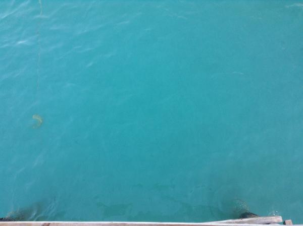 Название: image.jpg
Просмотров: 910
Размер: 15.1 Кб