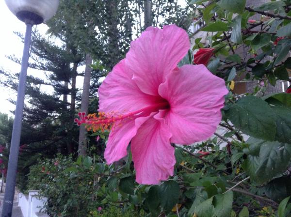 Название: image.jpg
Просмотров: 933
Размер: 55.5 Кб