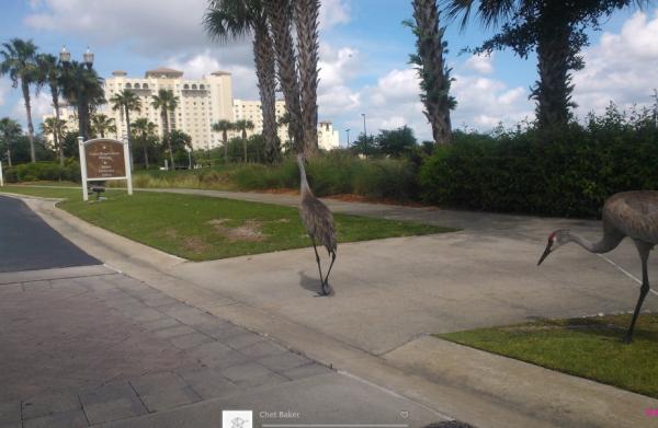 Название: image.jpg
Просмотров: 892
Размер: 36.0 Кб