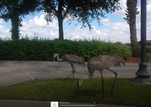 Название: image.jpg
Просмотров: 879
Размер: 42.8 Кб