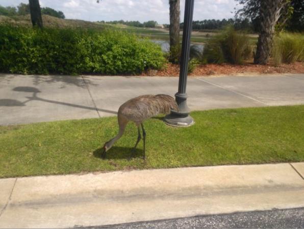 Название: image.jpg
Просмотров: 915
Размер: 41.0 Кб