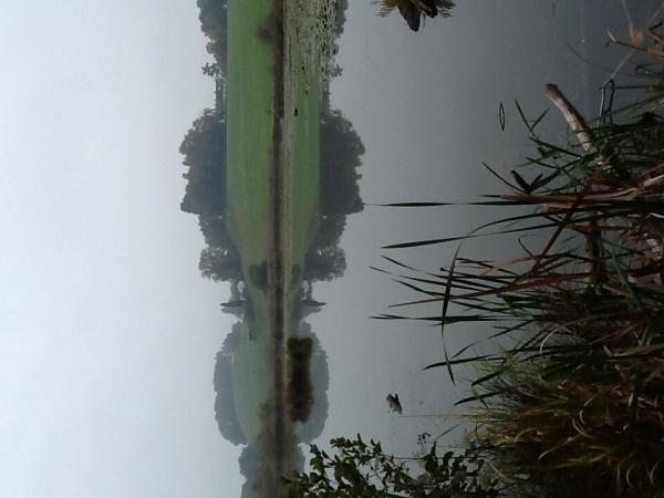 Название: image.jpg
Просмотров: 927
Размер: 29.1 Кб