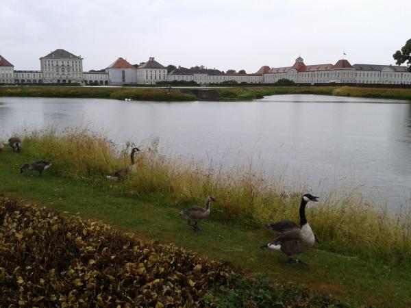 Название: 2014-06-29 18.31.51.jpg
Просмотров: 855
Размер: 39.0 Кб