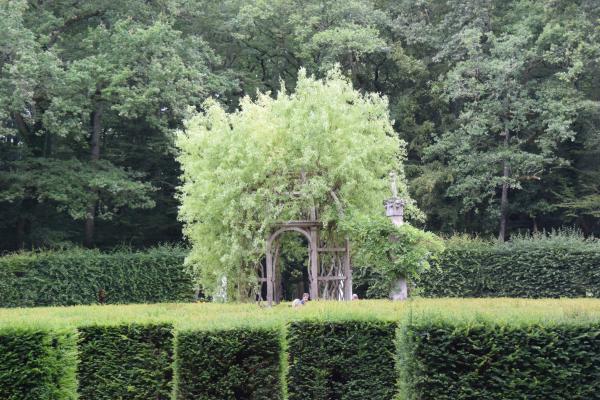 Название: DSC_0136.jpg
Просмотров: 4743
Размер: 65.4 Кб