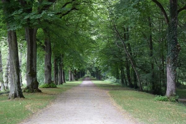 Название: DSC_0129.jpg
Просмотров: 5635
Размер: 54.5 Кб