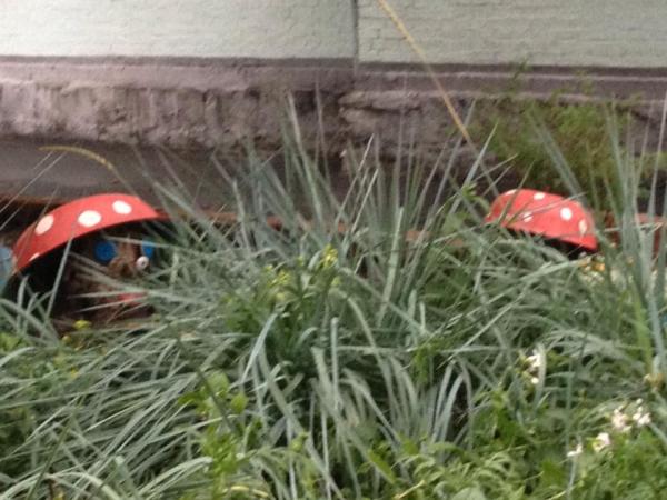 Название: 10406822_337172939780964_2462215289994430047_n.jpg
Просмотров: 1067
Размер: 48.3 Кб