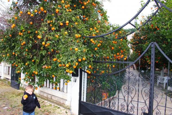 Название: image.jpg
Просмотров: 907
Размер: 76.5 Кб