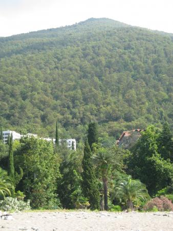 Название: Изображение 015.jpg
Просмотров: 728
Размер: 31.8 Кб