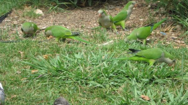 Название: IMG_2800.jpg
Просмотров: 772
Размер: 57.2 Кб