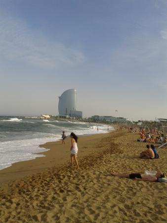 Название: 2014-07-03 19.13.42.jpg
Просмотров: 719
Размер: 19.3 Кб