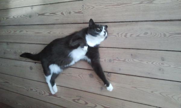 Название: 2014-09-12 16.51.43.jpg
Просмотров: 679
Размер: 25.2 Кб