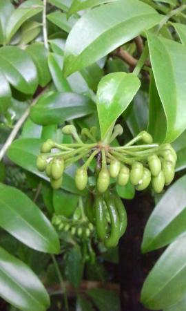 Название: 2014-09-14 12.17.39.jpg
Просмотров: 1044
Размер: 20.8 Кб