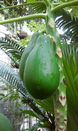 Название: 2014-09-14 12.22.03.jpg
Просмотров: 1101
Размер: 27.8 Кб