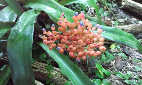 Название: 2014-09-14 12.27.27.jpg
Просмотров: 1106
Размер: 45.2 Кб