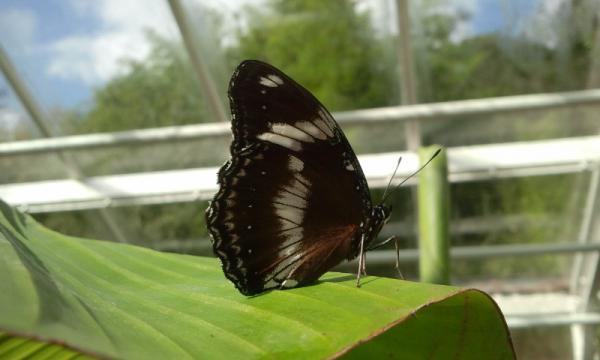 Название: 2014-09-14 13.17.12.jpg
Просмотров: 1088
Размер: 25.0 Кб