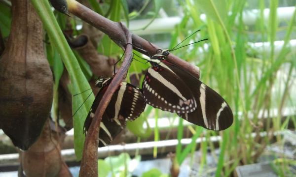 Название: 2014-09-14 13.16.00.jpg
Просмотров: 1018
Размер: 34.0 Кб