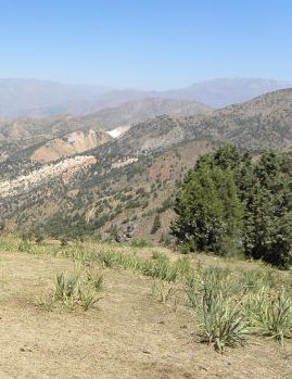 Название: 2_cr.jpg
Просмотров: 1601
Размер: 23.6 Кб