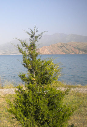 Название: 5_cr.jpg
Просмотров: 1865
Размер: 32.7 Кб