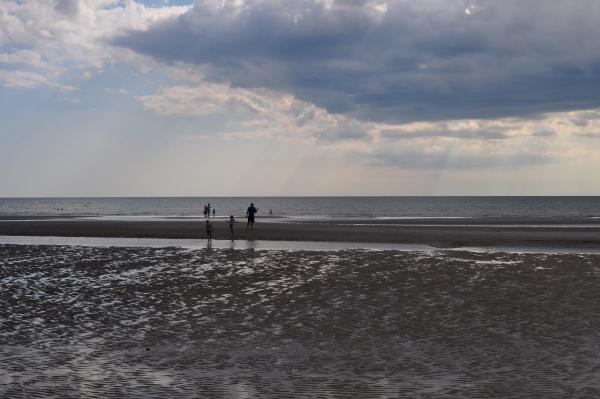 Название: DSC_0449.jpg
Просмотров: 1479
Размер: 32.6 Кб