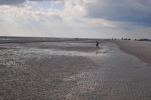 Название: DSC_0450.jpg
Просмотров: 1046
Размер: 34.7 Кб