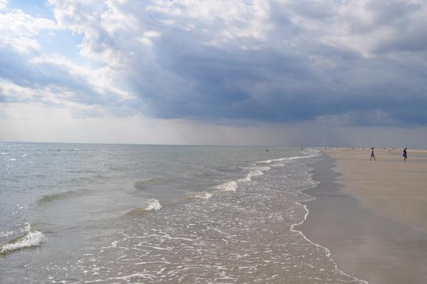 Название: DSC_0527.jpg
Просмотров: 1489
Размер: 26.0 Кб