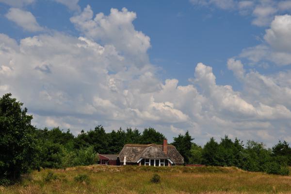 Название: DSC_0136.jpg
Просмотров: 1253
Размер: 30.8 Кб