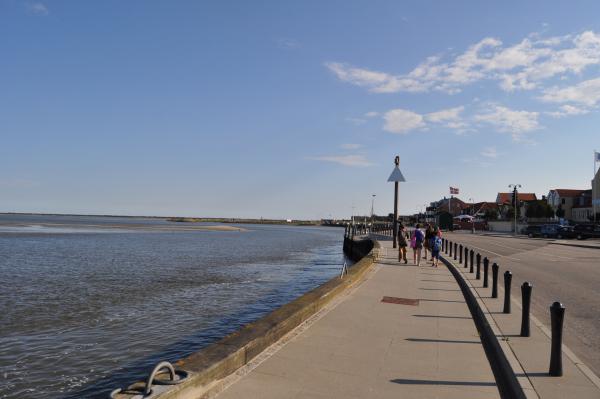 Название: DSC_0649.jpg
Просмотров: 1278
Размер: 26.9 Кб