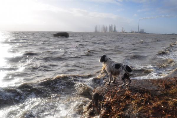 Название: DSC_0103.jpg
Просмотров: 1231
Размер: 39.0 Кб