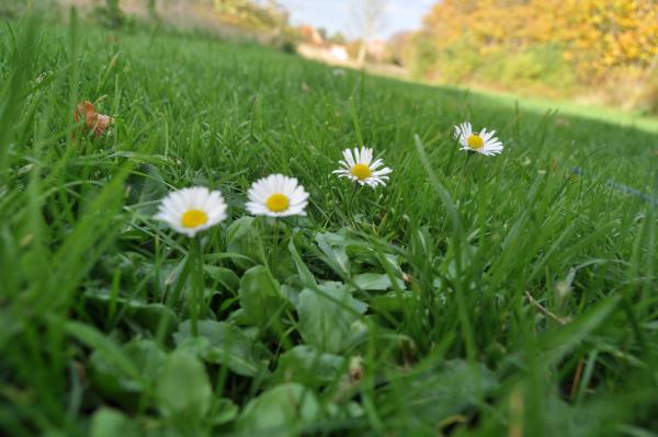 Название: DSC_0058.jpg
Просмотров: 972
Размер: 37.0 Кб