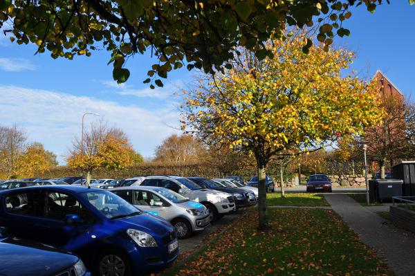 Название: DSC_0028.jpg
Просмотров: 939
Размер: 65.0 Кб