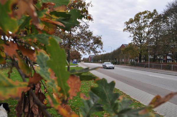 Название: DSC_0074.jpg
Просмотров: 929
Размер: 46.0 Кб