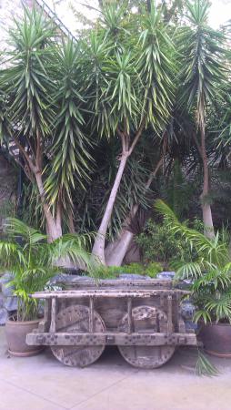 Название: Бельгия11.14 5929.jpg
Просмотров: 5517
Размер: 31.0 Кб