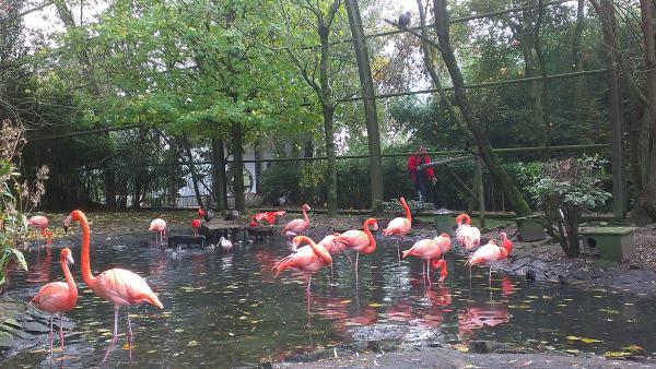 Название: Бельгия11.14 5936.jpg
Просмотров: 5505
Размер: 65.1 Кб